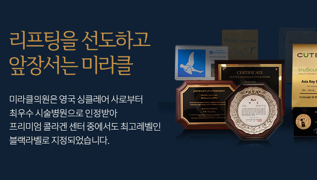 레비나스 리프팅(빠샤리프팅)