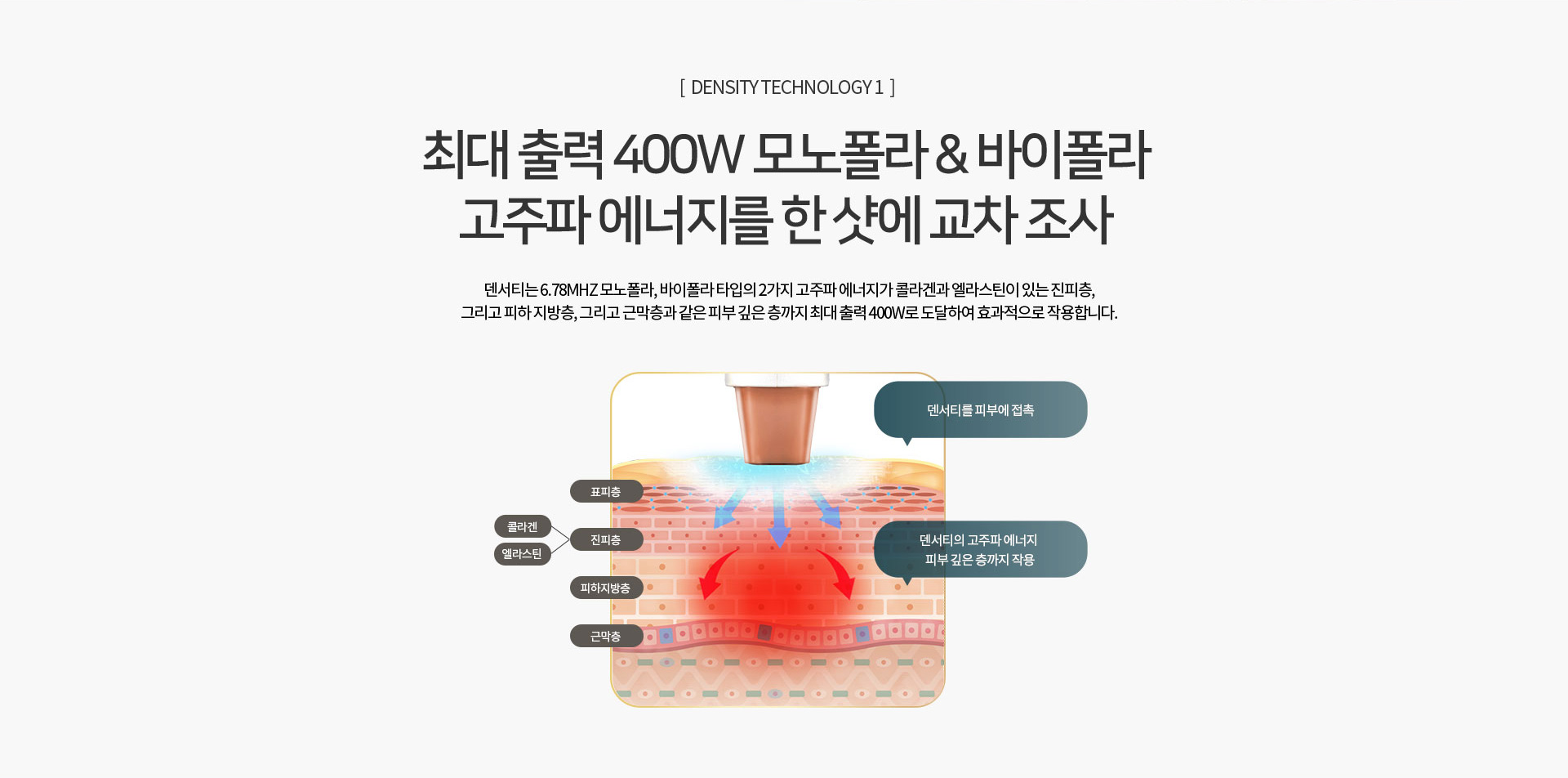 덴서티 하이