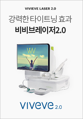 비비브레이저2.0